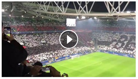 stadium