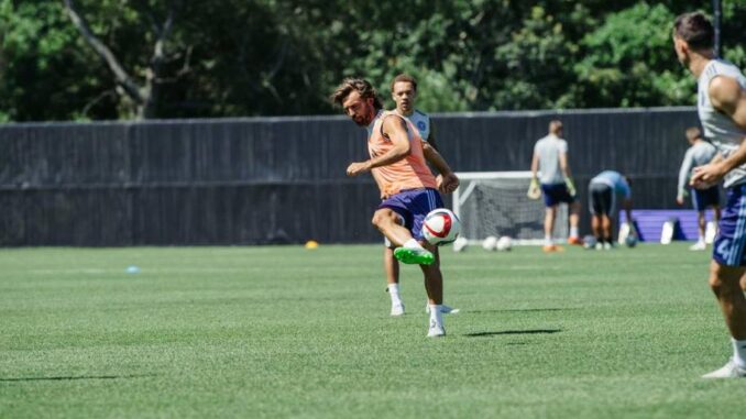 Pirlo Pirlo