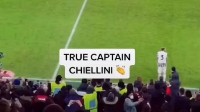 chiellini chiellini