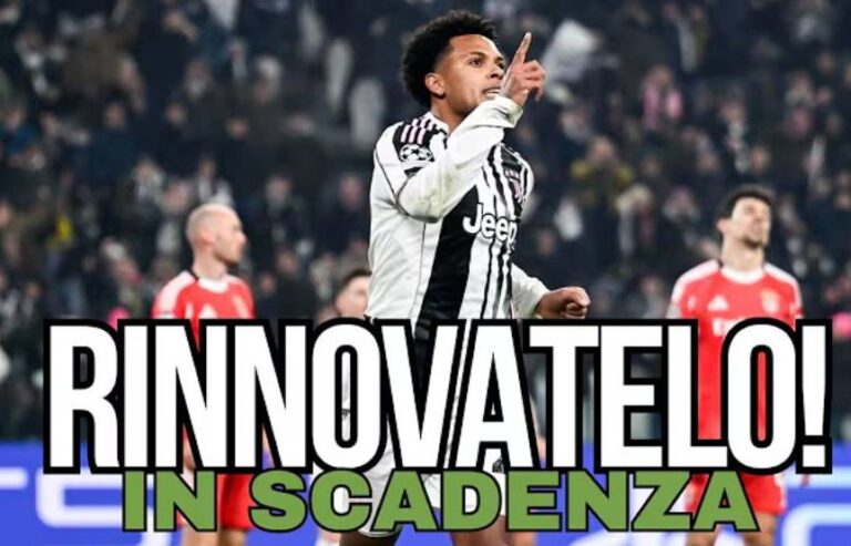 WhatsApp Image 2026-02-10 at 10.24.20